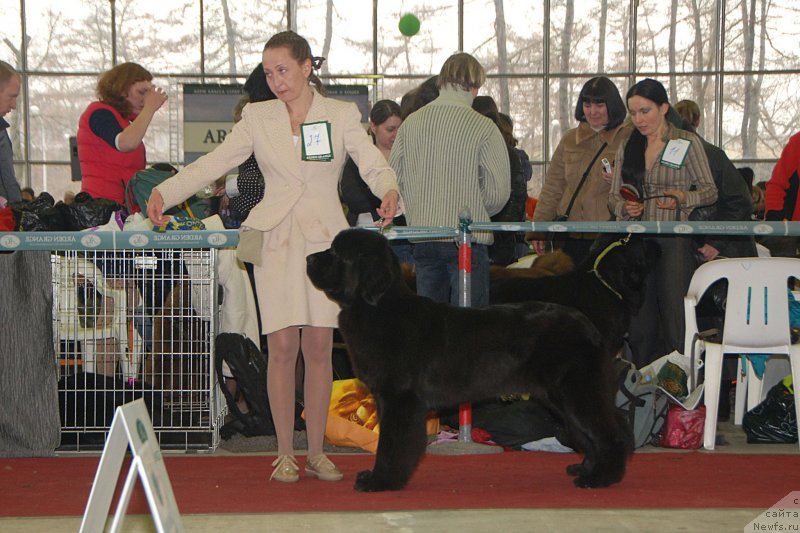 Фотография № 121451