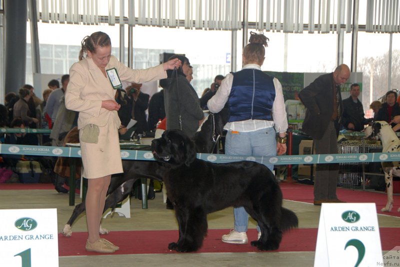 Фотография № 121452