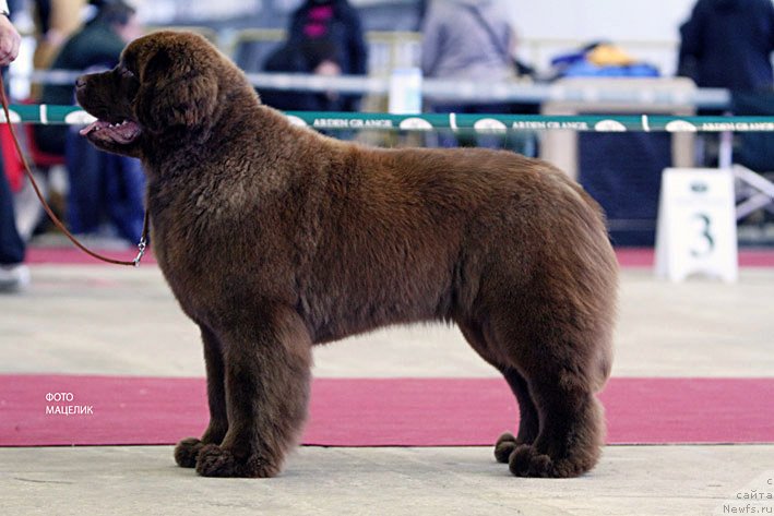 Фотография № 121466