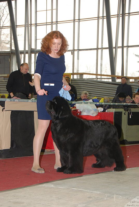 Фотография № 121470