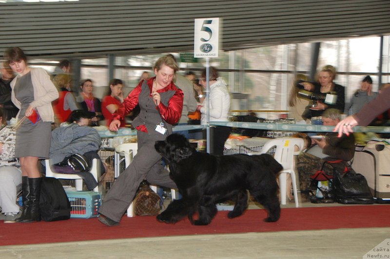 Фотография № 121483