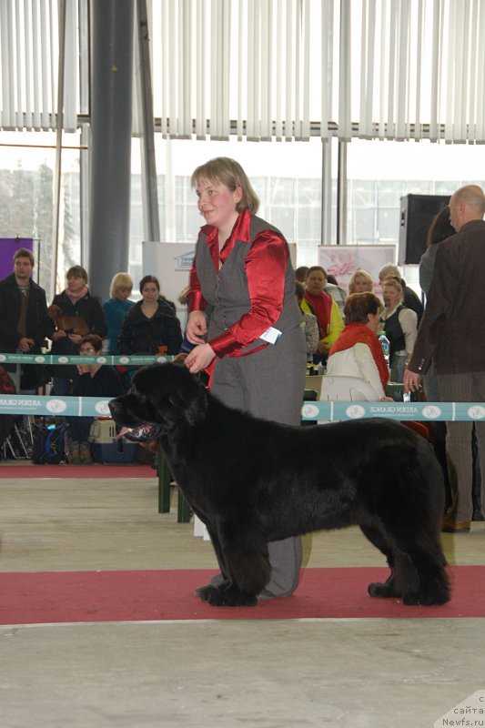 Фотография № 121490