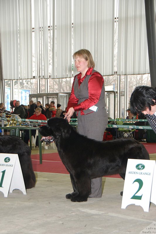 Фотография № 121491