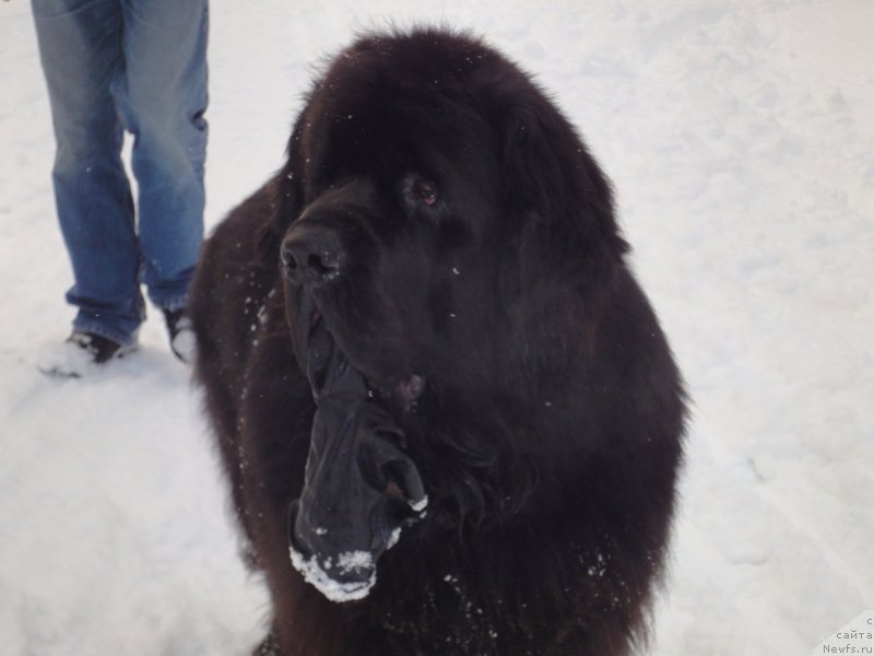 Фото: Андрей Широков