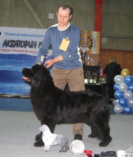 Фотография № 12157