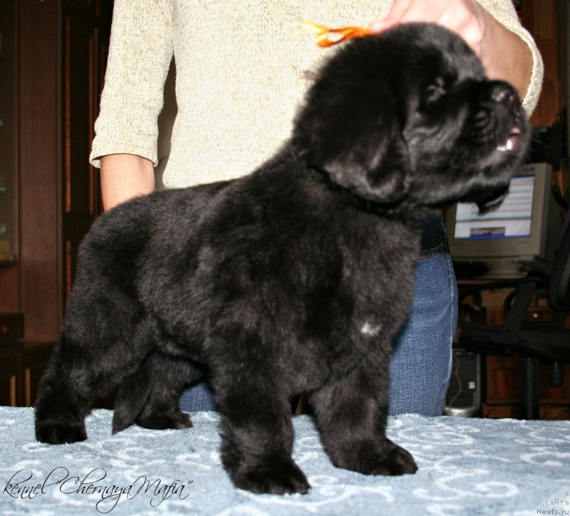 Фотография № 121587