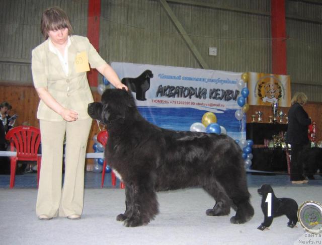 Фотография № 12159