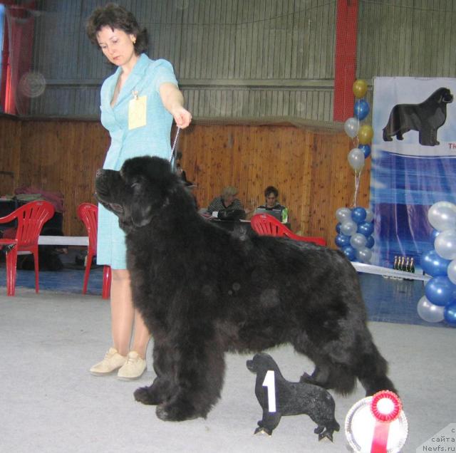 Фотография № 12163