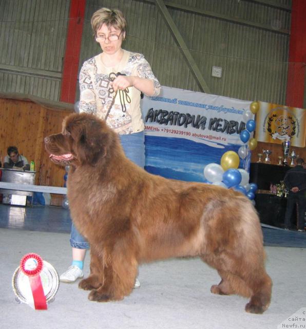 Фотография № 12165