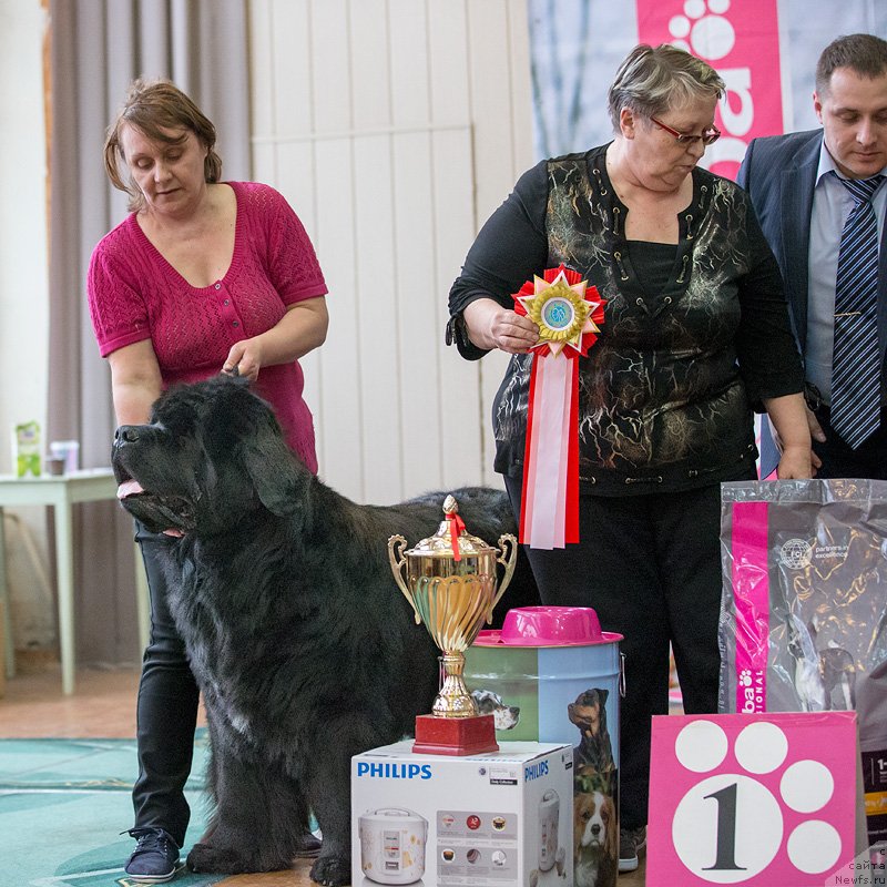 Фотография № 121660