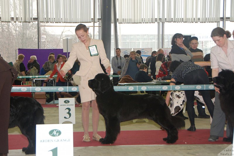 Фотография № 121667