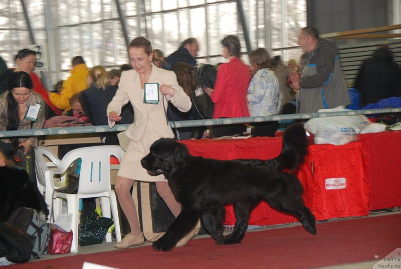 Фотография № 121670