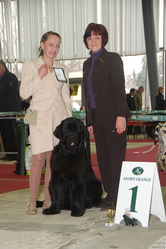 Фотография № 121671