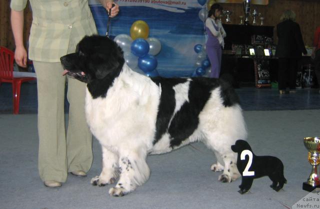 Фотография № 12169