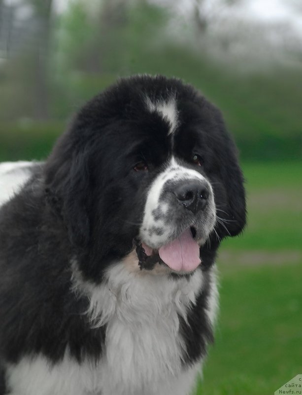 Фотография № 121726