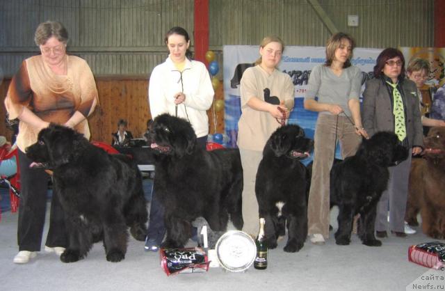 Фотография № 12173