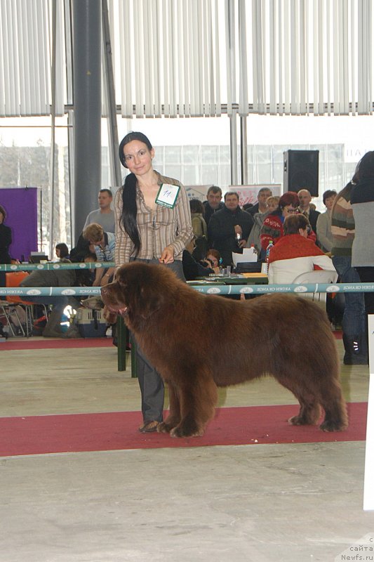 Фотография № 121737