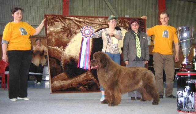 Фотография № 12174