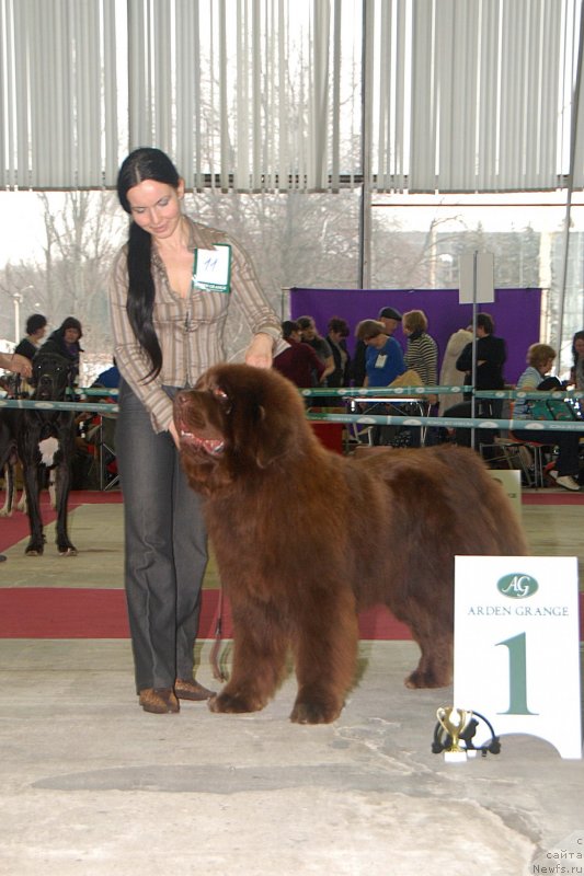 Фотография № 121740