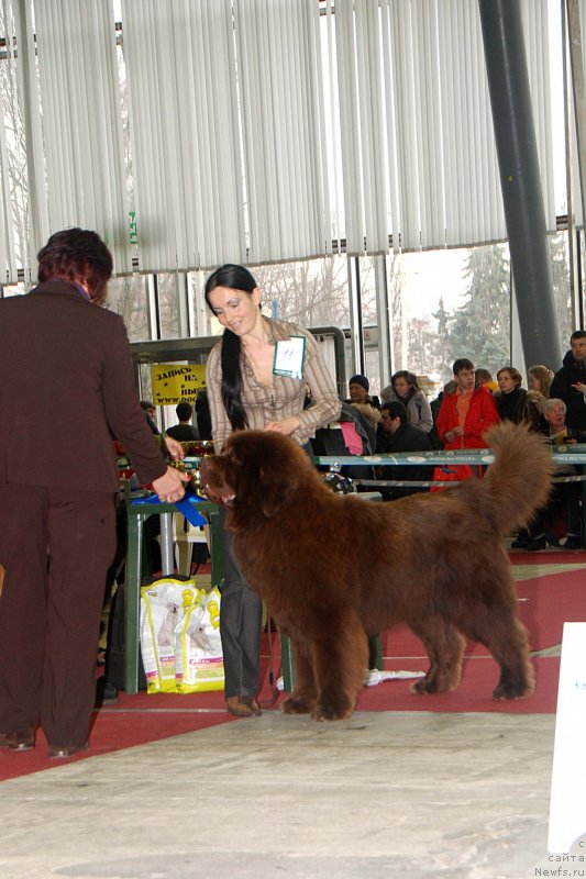 Фотография № 121742