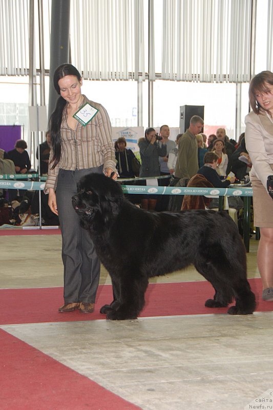 Фотография № 121752