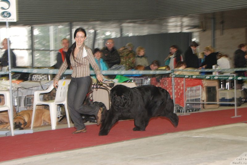 Фотография № 121757