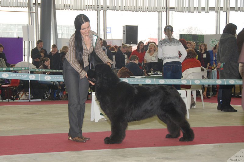 Фотография № 121764