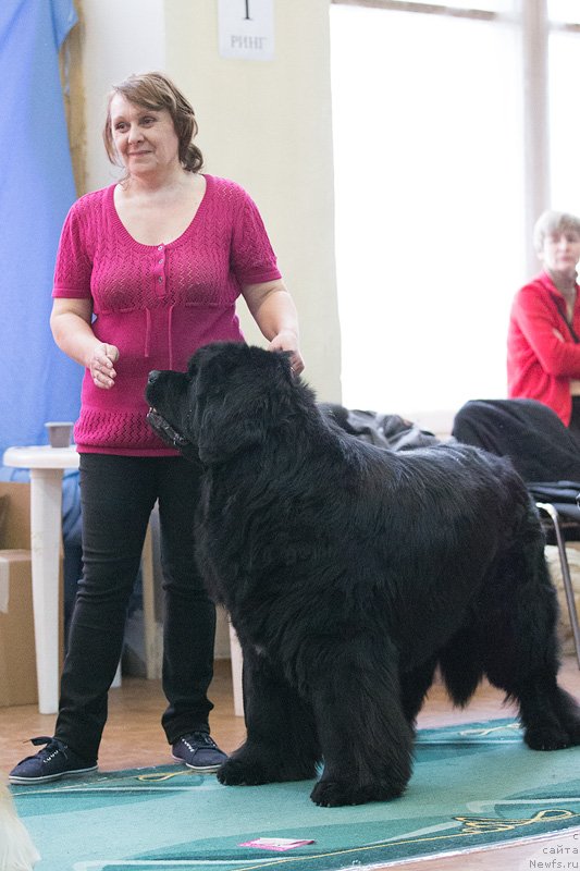 Фотография № 121787