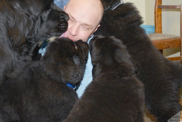 Фото: Антон Яковлев