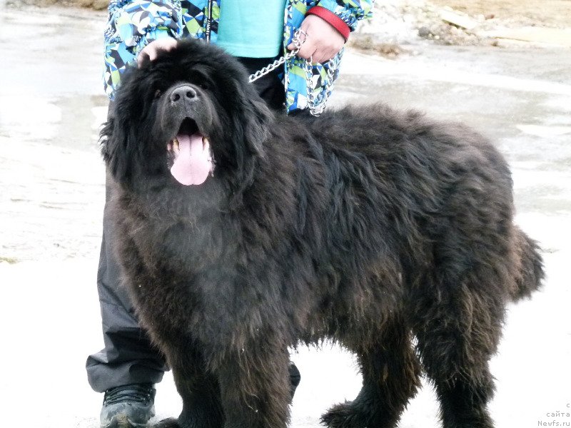 Фотография № 121858