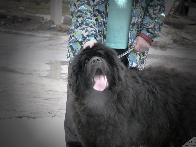 Фотография № 121859