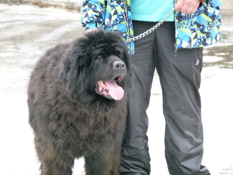 Фотография № 121862