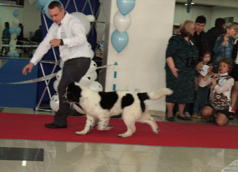 Фотография № 121879