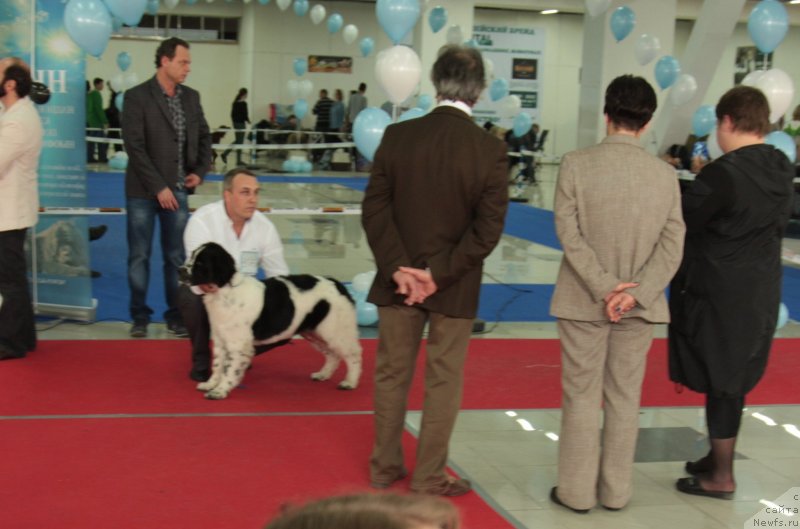 Фотография № 121880