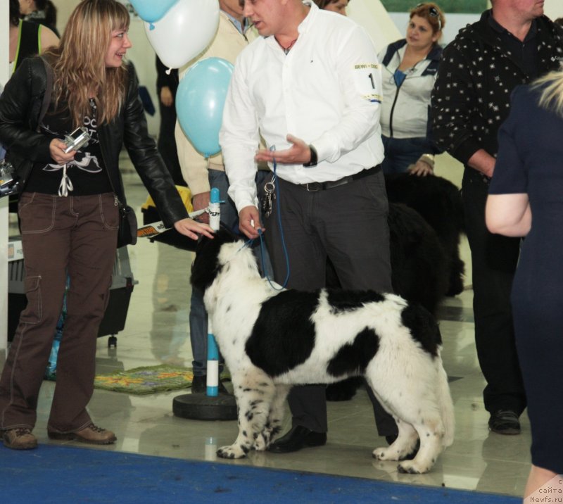 Фотография № 121881