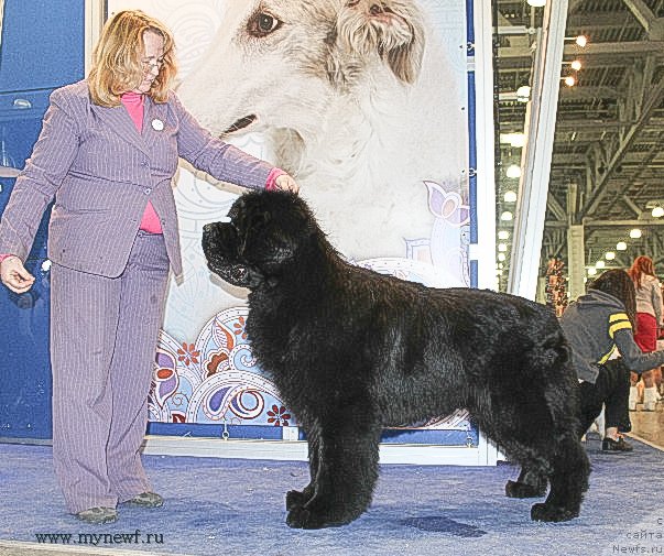 Фотография № 121882