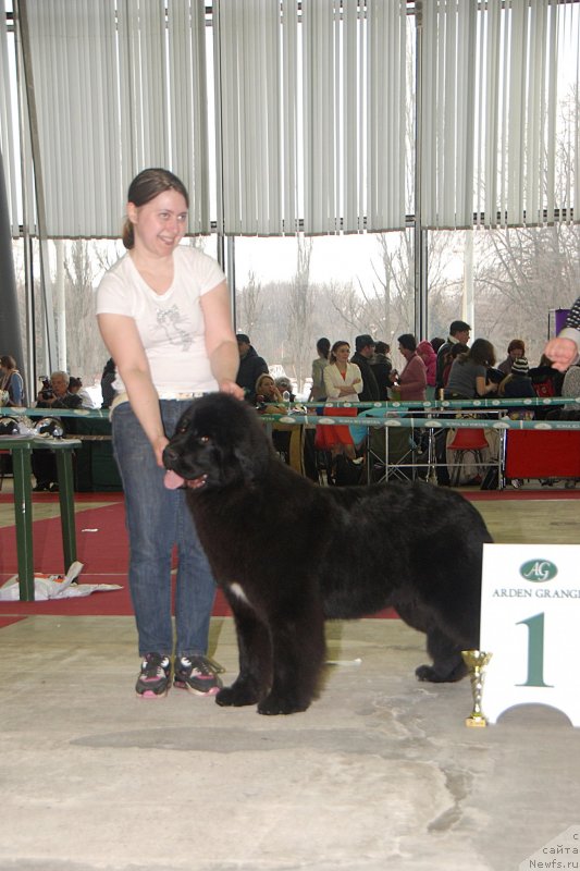 Фотография № 121889