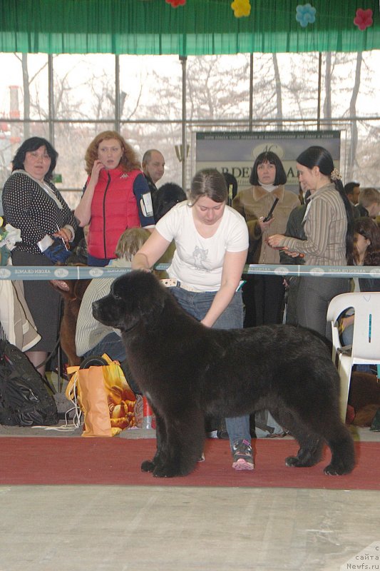 Фотография № 121890