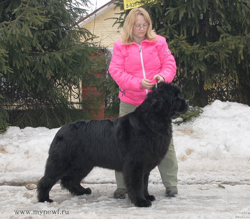 Фотография № 121892