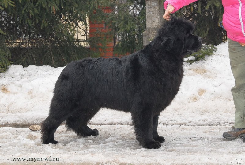 Фотография № 121893