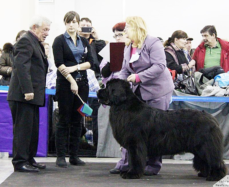 Фотография № 121901