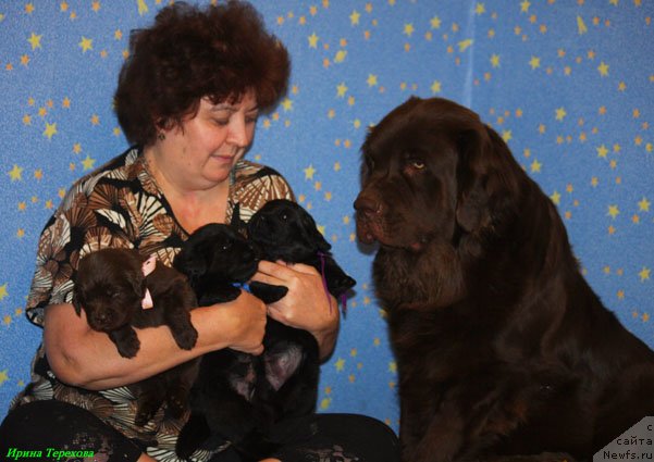 Фото: Елена Шмелева