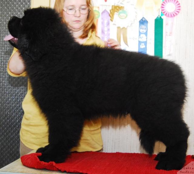 Фотография № 12194