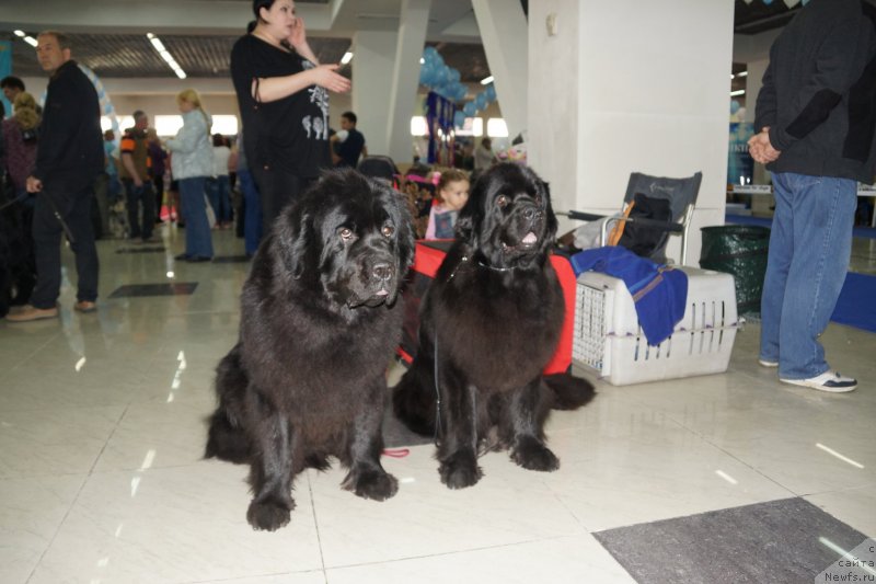 Фотография № 121968