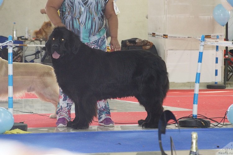 Фотография № 121969