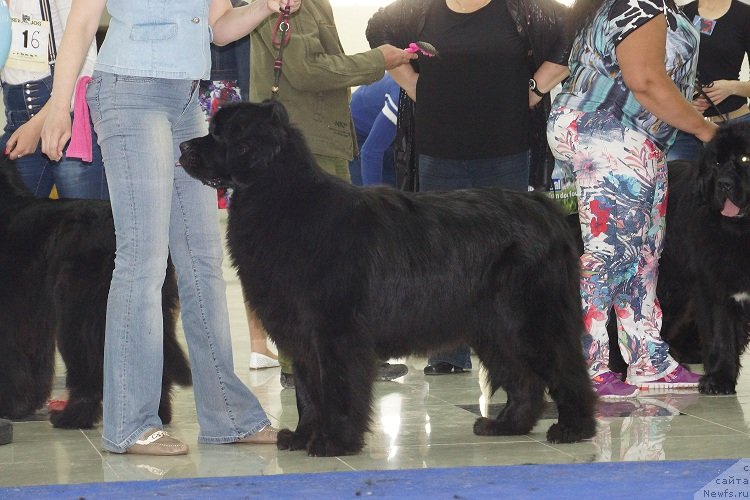 Фотография № 121971