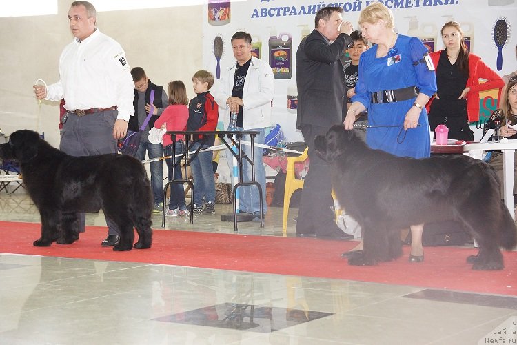 Фотография № 121977