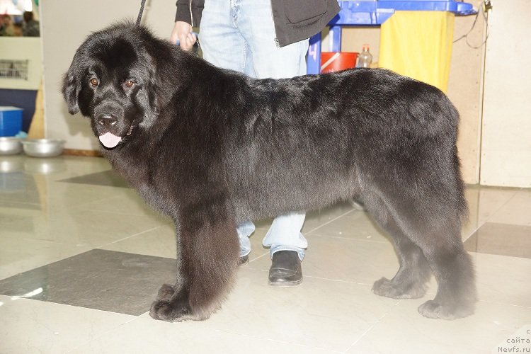 Фотография № 121980