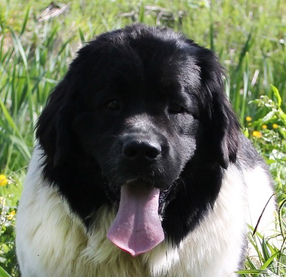 Фотография № 122050