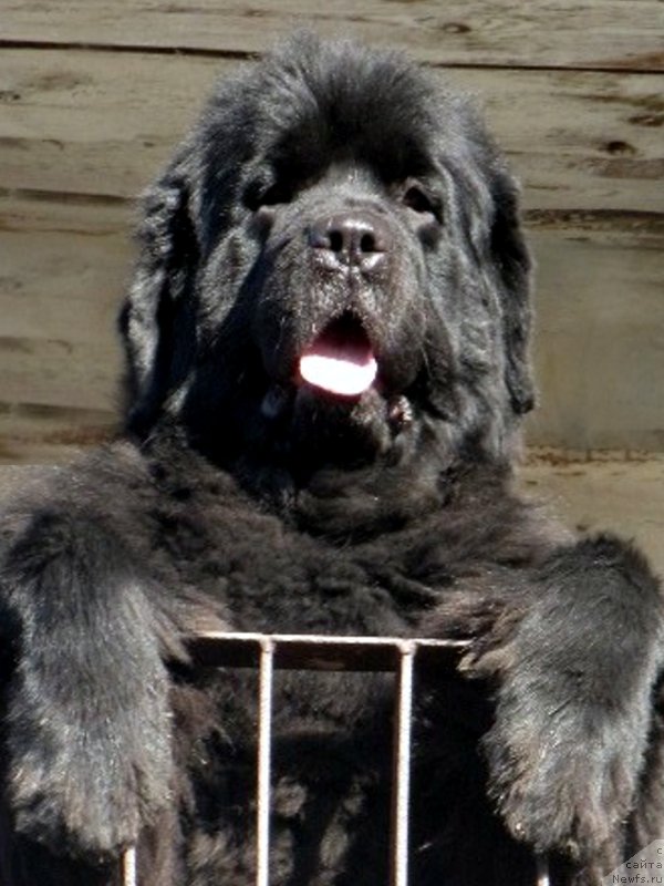 Фотография № 122063